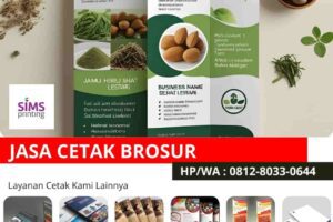 Jasa Percetakan Brosur Bisnis Jamu: Pilih Ukuran A4, A5, atau Custom yang Paling Efektif?