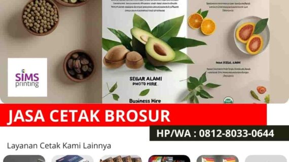Seberapa Banyak Brosur yang Ideal Dicetak untuk Promosi? (Pertimbangkan Juga Harga Cetak Brosur Suplemen Alami)