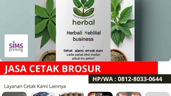 Mana Jenis Kertas Terbaik untuk Brosur Produk Herbal? Panduan Lengkap Buat Kamu yang Cari Tempat Cetak Brosur Terdekat Produk Herbal